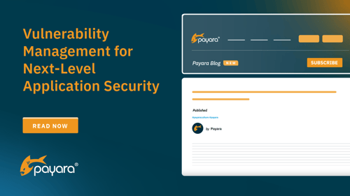 Vulnerability Management for Next-Level Application Security 