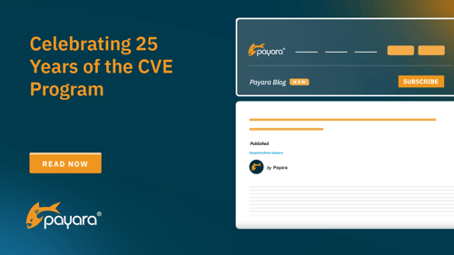 Celebrating 25 Years of the CVE Program Blog