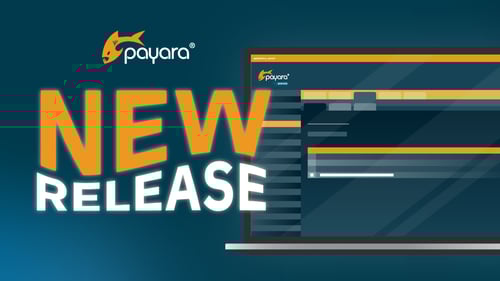 Payara Platform April 2025 Release Highlights