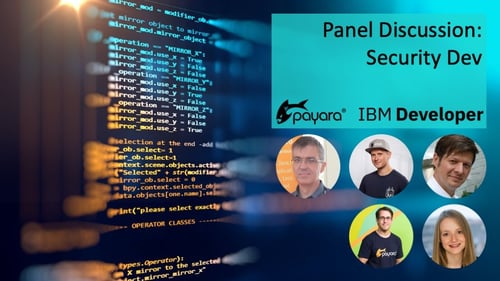 Snyk Panel discussion image