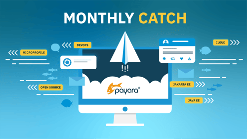 Payara Monthly Catch